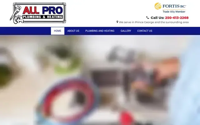 All Pro Plumbing & Heating website