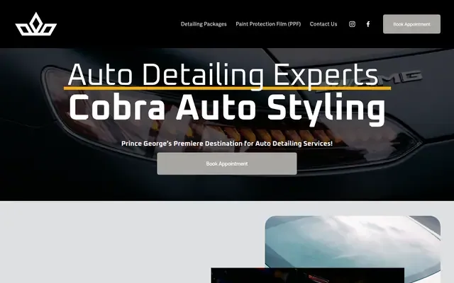 Cobra Auto Styling website