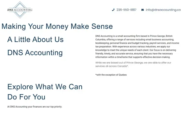DNS Accounting website