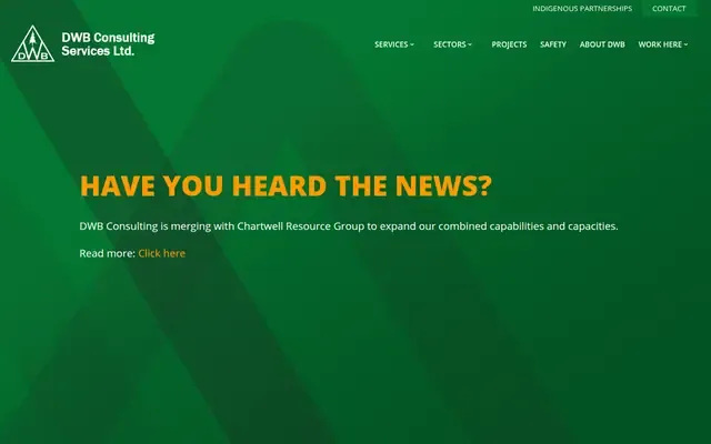 DWB Consulting Services website