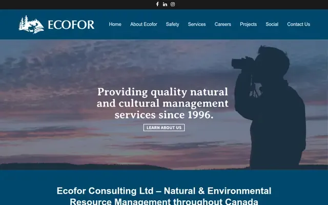 Ecofor Consulting website