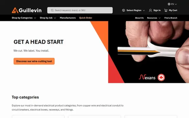 Guillevin International website