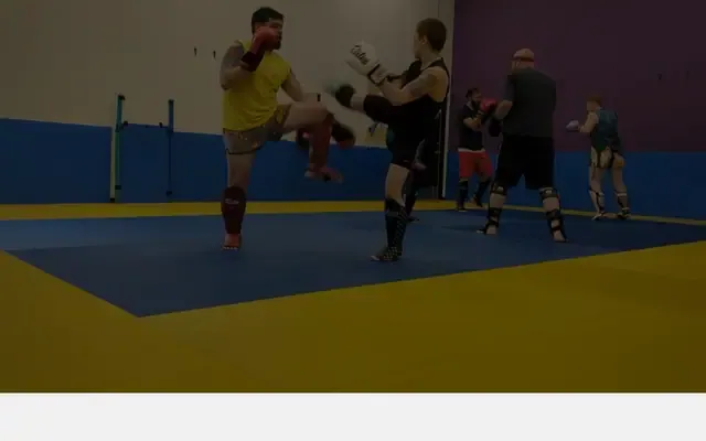 Inclusive Connection Martial Arts and Counselling website