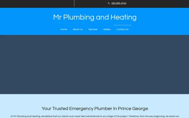 Mr. Plumbing and Heating website