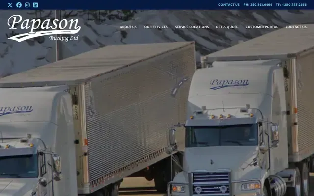 Papason Holdings website