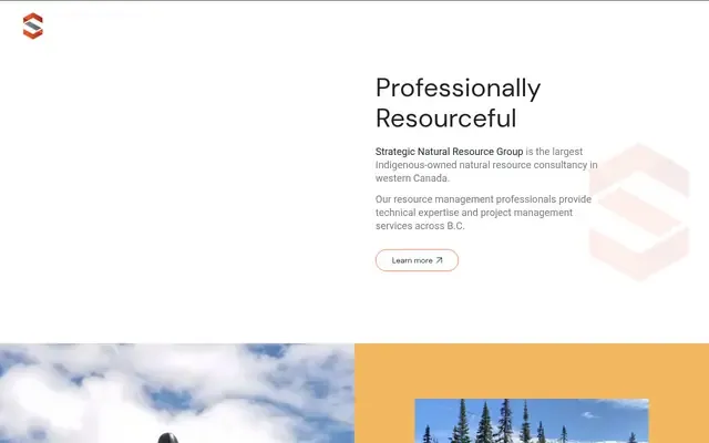 Strategic Natural Resource Consultants website