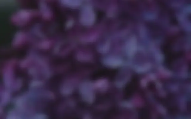 Studio Alexis website