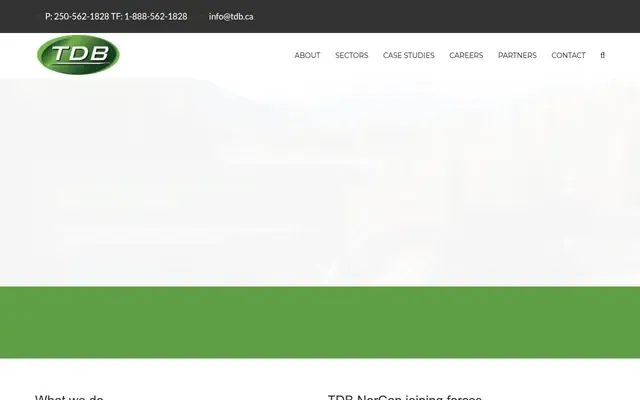 TDB Consultants website