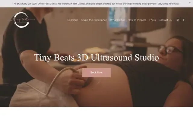 Tiny Beats 3D Ultrasound Studio website