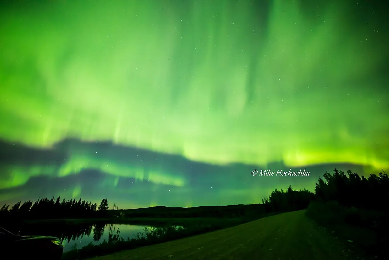 Bright green aurora curtains over a dark treeline near Prince George