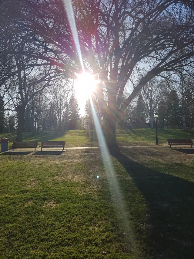 Lawns, trees and pathways in Lheidli T’enneh Memorial Park beside the Fraser River in Prince George