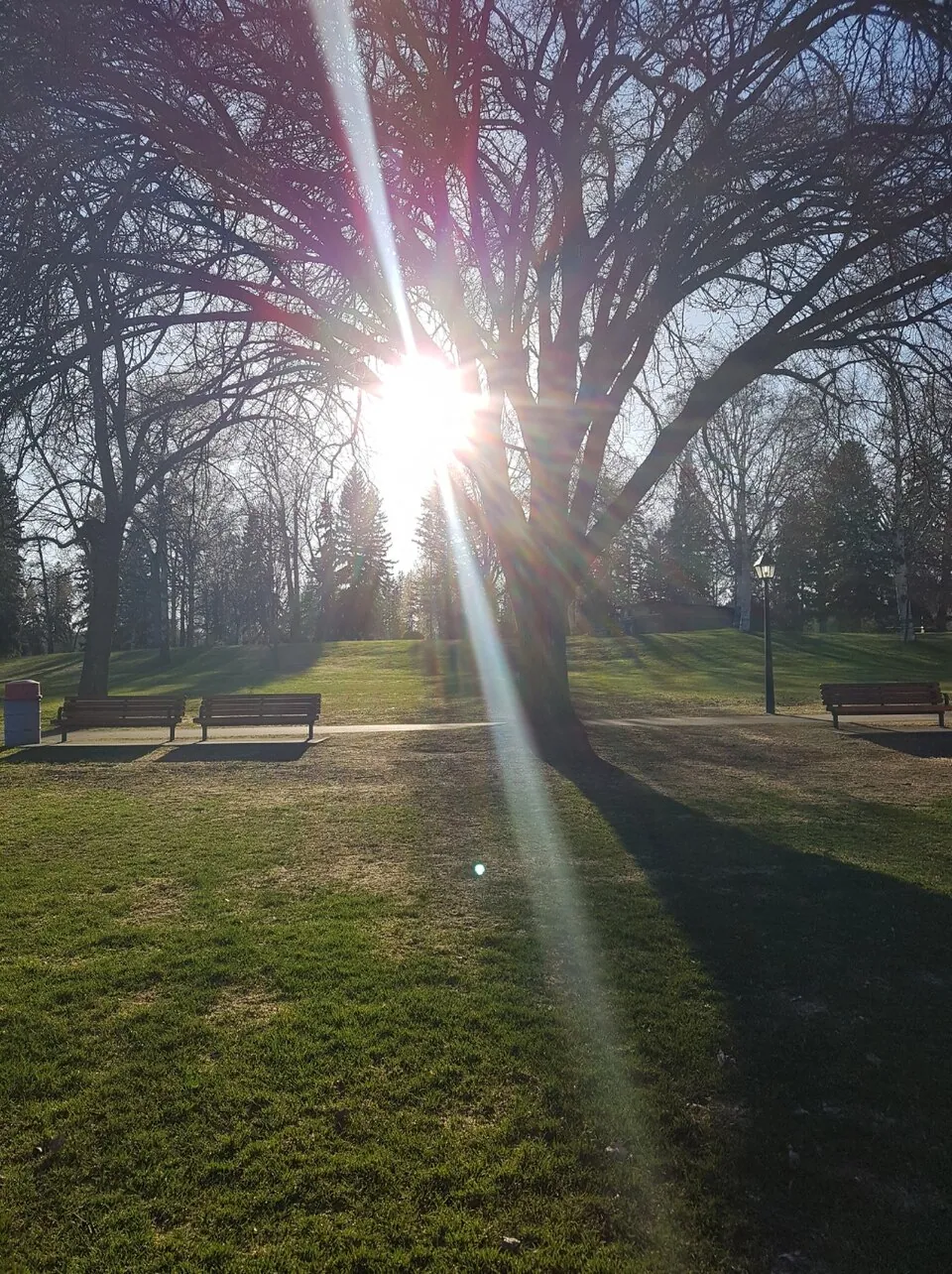 Lheidli T’enneh Memorial Park, formerly Fort George Park, at the confluence