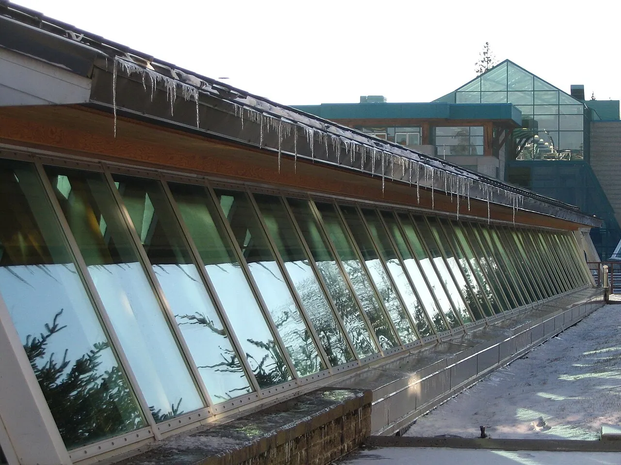 Long icicles hanging from the glass roof of UNBC's Student Services Street