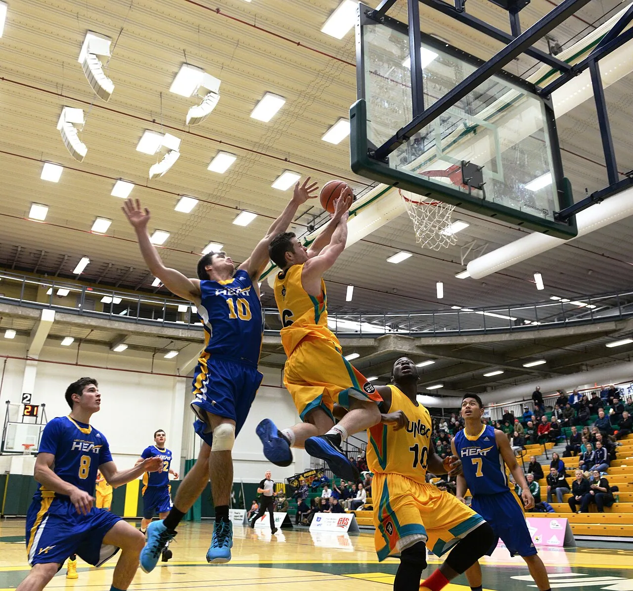 UNBC Timberwolves basketball players jumping for a rebound in a packed gym