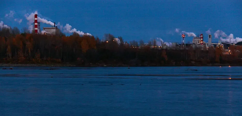 The Nechako River from Poplar Island, with mill stacks and steam rising beyond the trees on the far bank